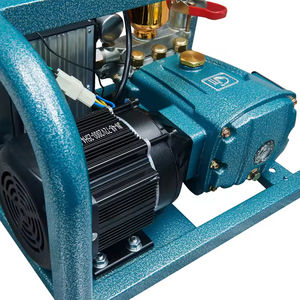 48-72V Bomba de émbolo agrícola Control remoto Portátil 1200W Spray de huerto de alta potencia - Product Image 6