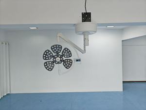 Lampe chirurgicale, lampe de salle d'opération, lampe d'inspection électrique à cylindre pour hôpital, lampe de clinique, lampe LED sans ombre pour clinique vétérinaire - Product Image 4