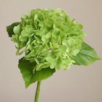 JIN PENG Real Touch Latex Hortensia Kunstbloem Groen Wit voor Bruiloft Huis Trend Decoratie