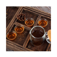 Service à thé de voyage écologique en verre borosilicate double haute qualité, 500 ml, avec théière et quatre tasses, style Kung Fu chinois, portable