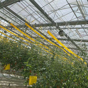 Rollo Adhesivo de Doble Cara de Alta Eficiencia de 20cm*100m, Trampa de Pegamento para Insectos para Granjas e Invernaderos - Product Image 4