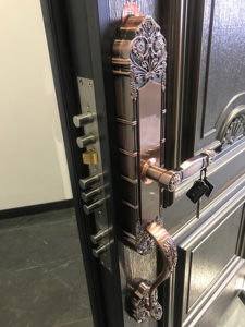 Le moderne porte <span class=keywords><strong>di</strong></span> <span class=keywords><strong>sicurezza</strong></span> domestica con finestre <span class=keywords><strong>di</strong></span> impatto in vetro temperato hanno usato la griglia in ferro incorniciata in acciaio finito <span class=keywords><strong>per</strong></span> l'applicazione esterna - Product Image 3