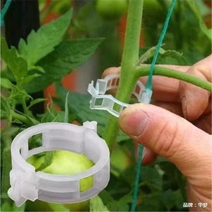 Clips en plastique pour tomates, supports <span class=keywords><strong>de</strong></span> treillis pour plantes grimpantes <span class=keywords><strong>de</strong></span> jardin, pour la culture <span class=keywords><strong>de</strong></span> légumes en serre - Product Image 4