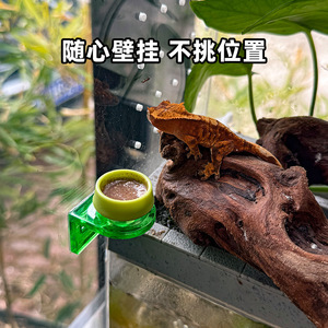 Cuenco para puré de frutas montado en la pared, cuenco de alimentación para geckos dragón barbudo, cuenco de comida para reptiles arborícolas, cuenco para comida - Product Image 3