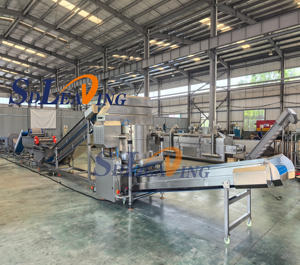 Lavadora automática <span class=keywords><strong>de</strong></span> brotes <span class=keywords><strong>de</strong></span> soja y <span class=keywords><strong>lentejas</strong></span> para plantas procesadoras <span class=keywords><strong>de</strong></span> vegetales con motor - Product Image 4