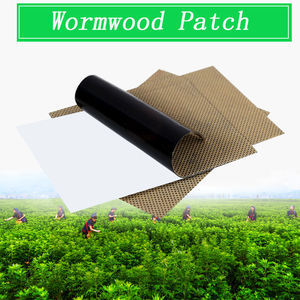 灸ウォーム石膏よもぎデトックスパッチハーブペーストショルダー/ネック/バック/ウエストの痛みヘルスケア - Product Image 2