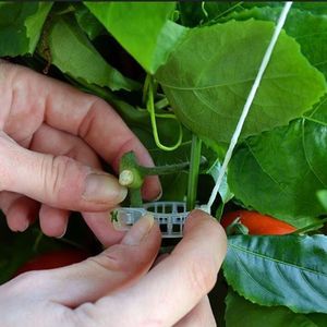 Plastic <strong>Tomato</strong> <strong>Support</strong> Clips for Greenhouse, Reusable Plant Clips with UV Resistance for <strong>Tomato</strong> Growing - Product Image 3
