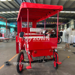 Buggy de Tourée Vintage Festif avec Décoration Ligne Blanche pour Cérémonie Extérieure, Défilé et Transport dans les Manoirs - Product Image 6