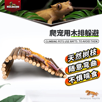 Nouveau Nid suspendu en forme d'œuf moelleux pour reptiles et amphibiens, idéal pour l'évitement des obstacles lors de l'escalade des animaux de compagnie