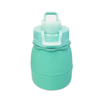 Bouteille en silicone pliable écologique sans BPA avec couvercle à pression et poignée de transport, réutilisable pour le camping, les activités de plein air et le sport