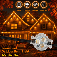 UCS2904 Ip68 Source de lumière ponctuelle extérieure permanente pour pierres précieuses 12V 24V 36V Contrôleur intelligent par application Lumières de Noël à changement de couleur
