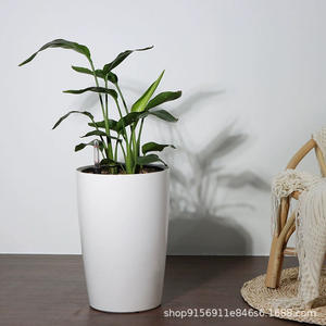 <span class=keywords><strong>Pot</strong></span> <span class=keywords><strong>de</strong></span> fleurs <span class=keywords><strong>de</strong></span> grande taille en PP <span class=keywords><strong>de</strong></span> style nordique, auto-absorbant, simple, tendance, pour plantes d'intérieur, fabriqué en Chine - Product Image 5