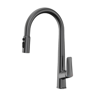 Robinet de cuisine moderne noir acier inoxydable 304 laiton pulvérisateur évier robinet robinet d'eau pour hôtels