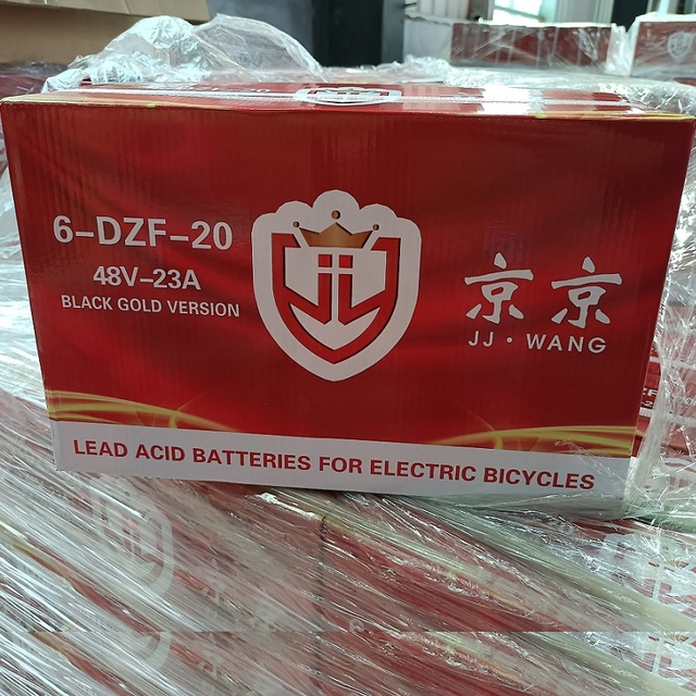 Deep Cycle 48V/60V/72V E-bike Lead Acid Battery Pack 20Ah Nominal Capacity CE Certified 1 Year Warranty