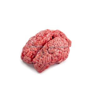Frozen lamb brain Quality lamb brain - Product Image 5