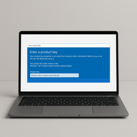 Çok Dilli Perakende Satış Win 11 Pro Lisansı Çevrimiçi Aktivasyon Win Professional Win11
