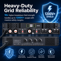 Amplificateur de puissance numérique en carbure de silicium SiC TDG422 4 canaux, FCC CE ROHS, 100V-240V, 4*2200W 8Ω, 4*3700W 4Ω, 4*5200W 2Ω