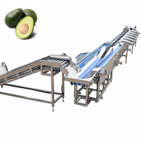 Papaya Perzik Banaan Bes Peer Ui Groenten Kleine Fruitsoorten Kiwi Sorteer- en sorteermachine KHGX-6J Sensor PLC 600KG 1 Jaar Garantie