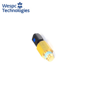 Sensore di Temperatura dell'Acqua WESPC T419414, Interruttore Sensore di Temperatura, Interruttore Sensore di Temperatura dell'Acqua - Product Image 4