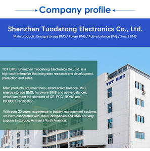 TDT LFP Batterie 4s 100A Matériel BMS LiFePO4 4S 12V 60A pour Machine Marine avec Balance et interrupteur marche/arrêt - Product Image 5