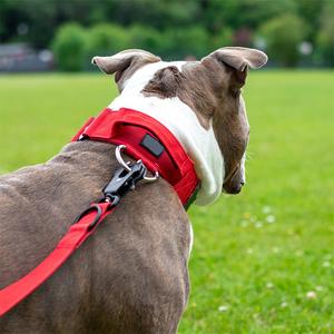 Laisse et collier pour chien de grande taille, robustes, tactiques, pour l'entraînement et la sécurité, avec boucle en métal à dégagement rapide, en nylon, vente flash - Product Image 6
