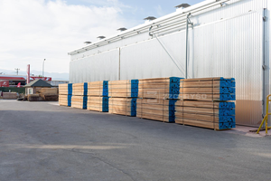 آلة معالجة الخشب والصنوبر سعة كبيرة-معدات تجفيف الخشب - Product Image 4