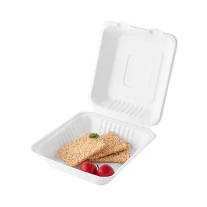 2024 Sinh Thái Takeaway Bao Bì Thực Phẩm 8 "Phân Hủy Sinh Học Dùng Một Lần Thực Phẩm Container Mía Bã Mía Để Đi Hộp Ăn Trưa Cho Bữa Ăn