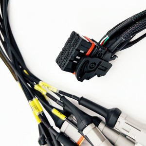 Arnés de Cableado de Inyector de Combustible Automotriz EV6 Personalizado - Product Image 6