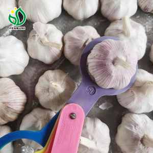 Ajo Rojo Orgánico Fresco de China, Marca Fenduni, 10 kg/caja - Product Image 3