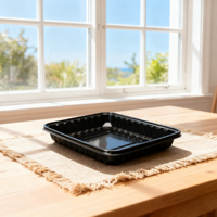 Barquette d'emballage alimentaire en plastique PP/PET de qualité alimentaire, adaptée aux fruits, légumes, viande congelée, nouilles, boulettes.