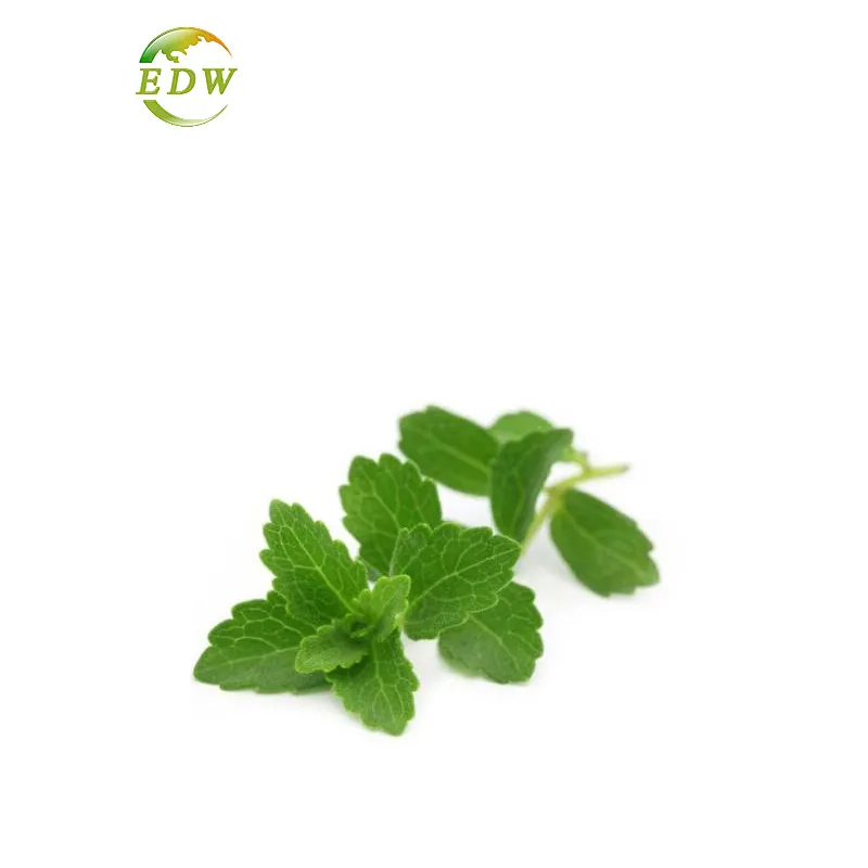 La fabbrica di Stevia fornisce estratto di Stevia in polvere di Stevia pura SG 90%