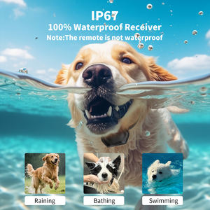 Anti Bark <span class=keywords><strong>Dog</strong></span> Shock <span class=keywords><strong>Collar</strong></span> Wiederauf ladbar IP67 Wasserdicht 4 Modi 4000FT Remote <span class=keywords><strong>Dog</strong></span> Training <span class=keywords><strong>Collar</strong></span> Bark Control - Product Image 5