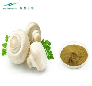 中国供应商舞毒菇粉提取物灰树花提取物