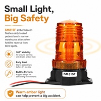 Mini balise SM815F 30 SMD 5730 IP66 12-110V, lumière de chariot élévateur ambre, câble de 30 cm, vente en gros d'usine, garantie de 2 ans