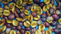 Hoge Kwaliteit Automatische Commerciële Fruitverwerking Zaadverwijderingsmachine Abrikozenprune Coring Pitting Destone Machine