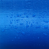 Bâche en PE laminée imperméable robuste personnalisée à surface unie pour garçons et filles - Tailles 20x30 30x50 40x60 20x20 15x15 10x10