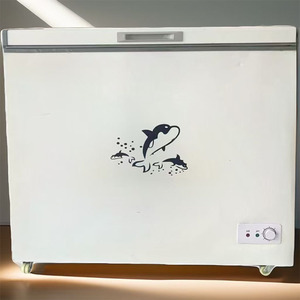 Réfrigérateur de préparation alimentaire à température unique de 0,9 m de Chine avec conception de porte ouverte, congélateur profond et vitrine à glaces - Product Image 6