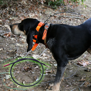 <span class=keywords><strong>Collar</strong></span> de Rastreo para Perros Shengda con Antena GPS GNSS Compatible con <span class=keywords><strong>Garmin</strong></span> Astro 320 220 DC30 DC40 <span class=keywords><strong>DC50</strong></span> T5 TT10 TT15 T5mini - Product Image 1