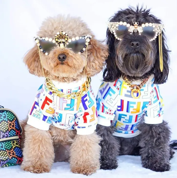 Nieuwe Huisdierenkleding Op Maat Logo Hondenkleding Mode Luxe Katoenen Kleding Met Letters Bedrukt Coole Hondenkleding