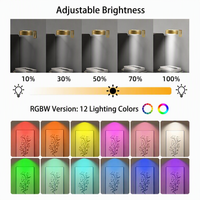 Lampe murale LED style moderne minimaliste, 12 couleurs RGB, télécommandée, à intensité variable, avec minuterie, alimentée par batterie rechargeable, éclairage d'art.