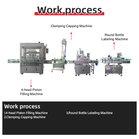 Multi-fles compatibele kokosnootsap verwerkingslijn intelligente automatische vul-, sluit-, dop- en etiketteermachine set