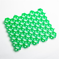 Grille alvéolée en plastique HDPE noir, design moderne, personnalisable, pour l'aménagement paysager des parcs, la protection des pentes et les parkings