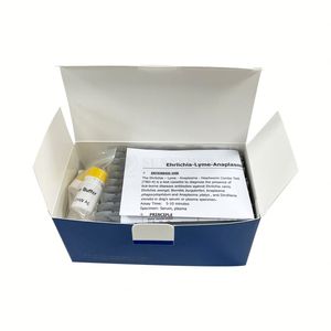 SY-VGold Ehrlichia Ab/아나플라스마 Ab/라임/하트웜 콤보 테스트 TOXO Ab CDV CPV FIV-FELV EHR-LYM-ANA-CHW - Product Image 3