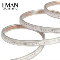 Paysage extérieur super lumineux allumant la lumière de corde de RVB LED SMD5050 60LEDS/M 12 W/M bande de lumière de RVB LED