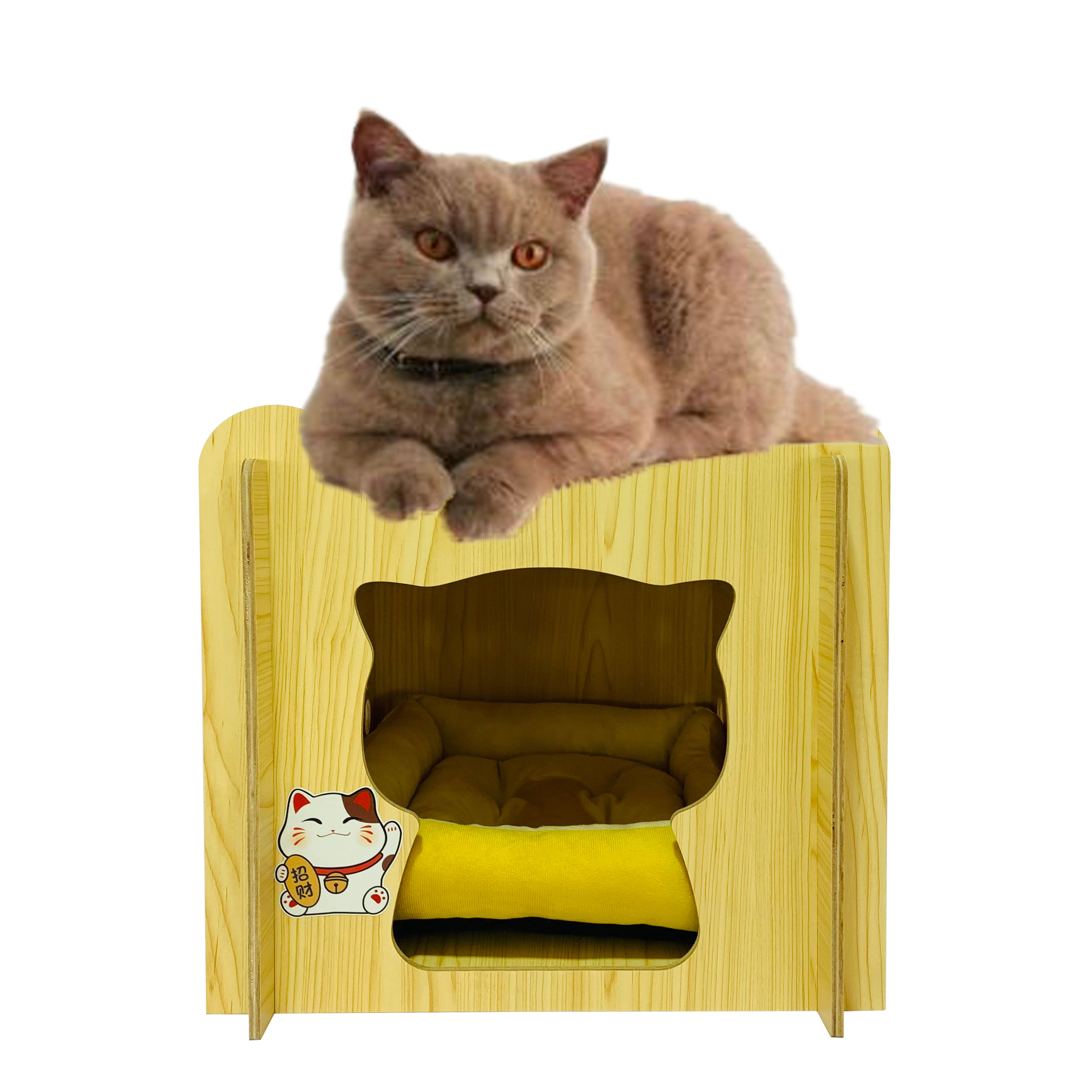 สีดำสีกากี