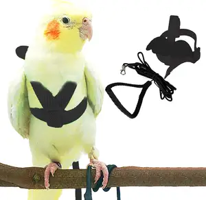Corda di trazione volante personalizzata corda da addestramento per uccelli Anti-morso Pet Parrot Cocktail Bird Harness guinzaglio