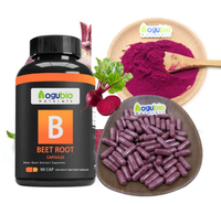 Fournisseur d'usine, extrait de racine de betterave biologique et naturel, poudre de racine de betterave rouge