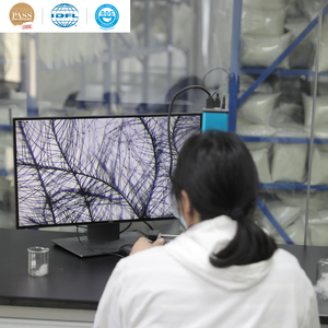 Chất Lượng Cao 80% Tự Nhiên Màu Trắng Vịt Xuống Bán Buôn Nguyên Rửa Sạch Vịt Xuống Lông Chất Lượng Cao Làm Đầy Chất Liệu - Product Image 4