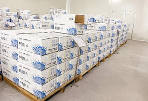 Lycium chinensis Wolfberry goqi Goji gia vị trà khô Trung Quốc nhân sâm đỏ trái cây tinh dịch hạt giống bao bì sản phẩm Trung Quốc - Product Image 6