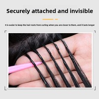 Máquina de Extensiones de Cabello Metálicas de Tercera Generación con Extensiones de Plumas y Clips Rápidos para Uso Comercial, Directo de Fábrica Original